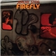 Jeremy Steig - Firefly