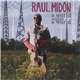 Raul Midón - A World Within A World