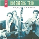 The Rosenberg Trio - Gipsy Summer