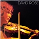 David Rose - Distance Between Dreams